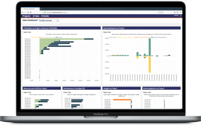 Levels of Embedding with BellaDati Platform